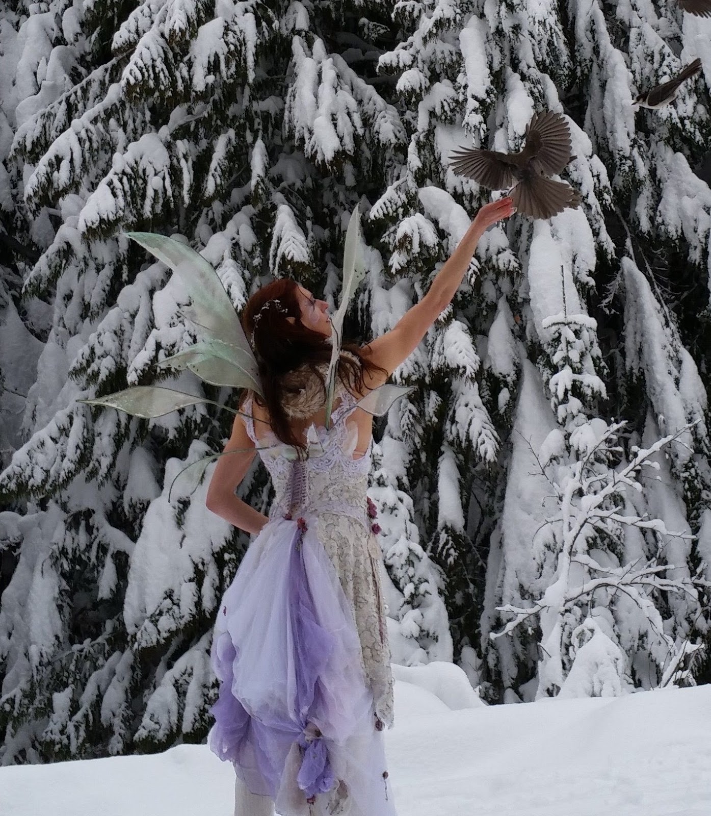 Faery Hair Fairy Hair Sparkles in Portland with Sera Faery on hold for now