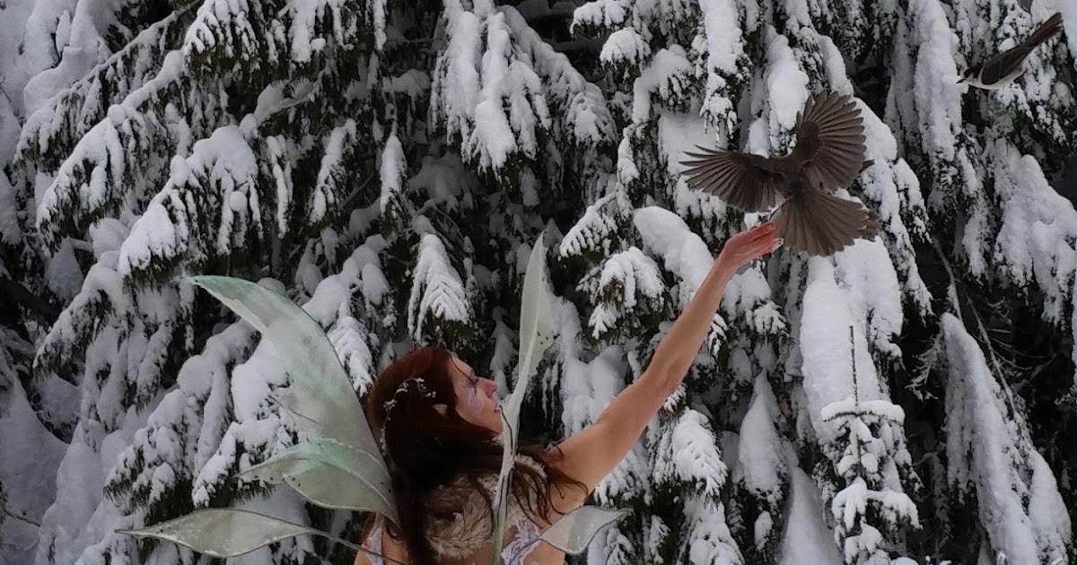 Faery Hair Fairy Hair Sparkles in Portland with Sera Faery on hold for now