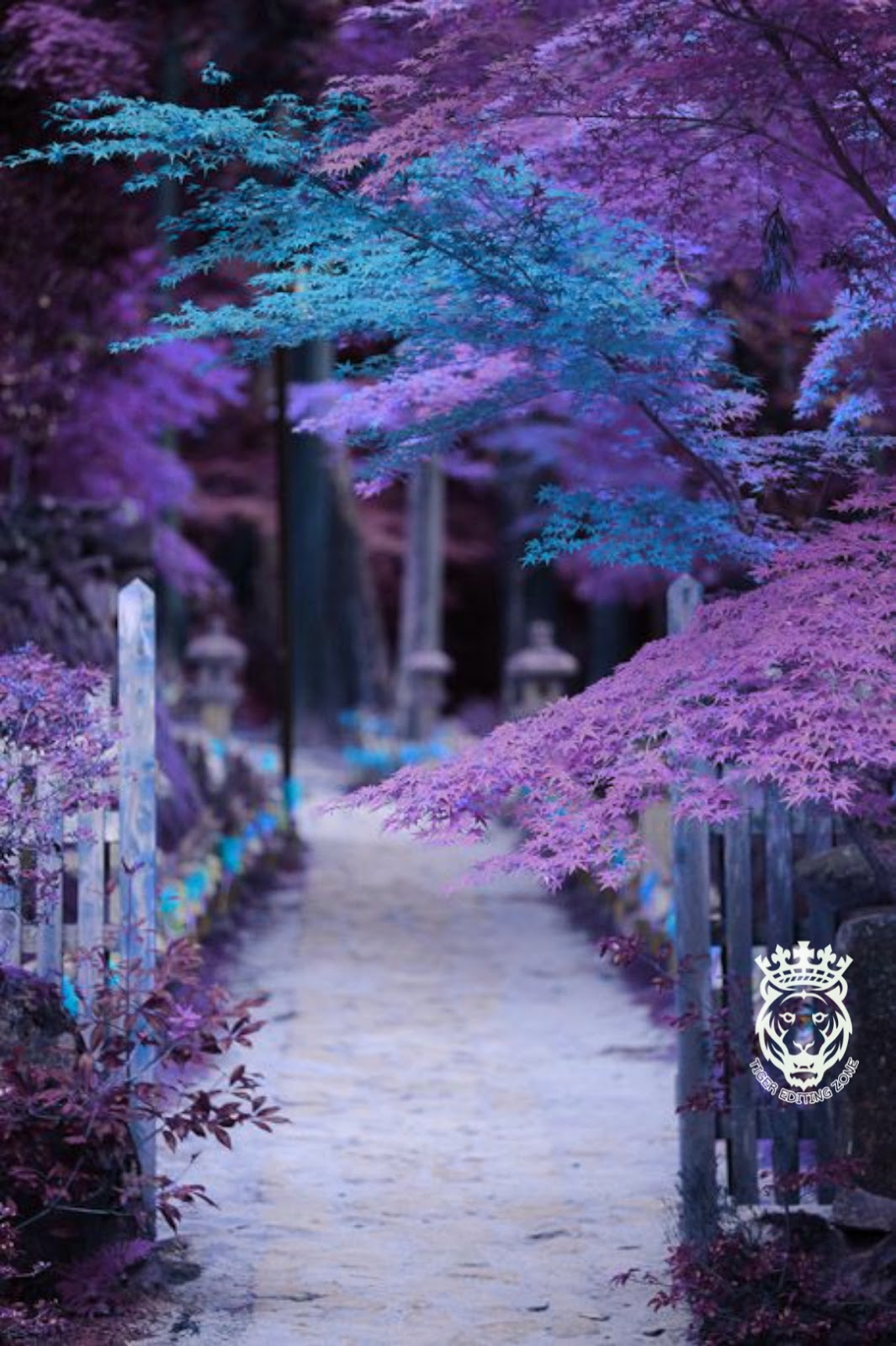 500+ Blue Background HD for Editing Moody Blue Photo Editing