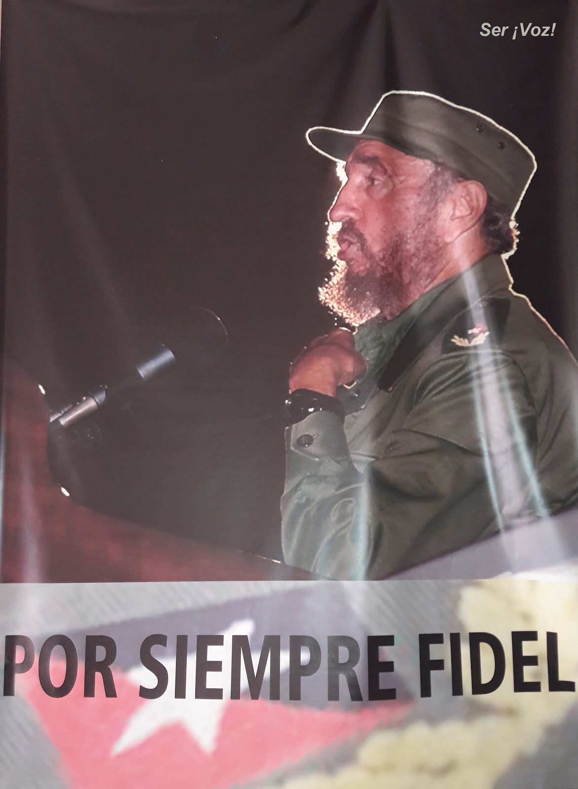¡Hasta siempre, Comandante Fidel Castro!