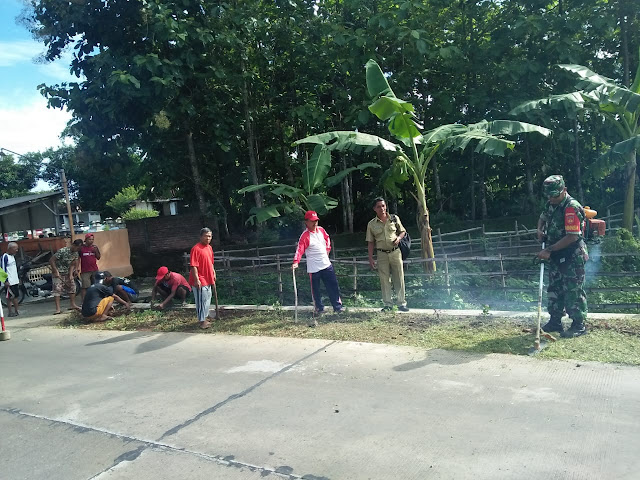 Babinsa Wonosari  Tanam Bunga Refugia Sepanjang Jalan Desa