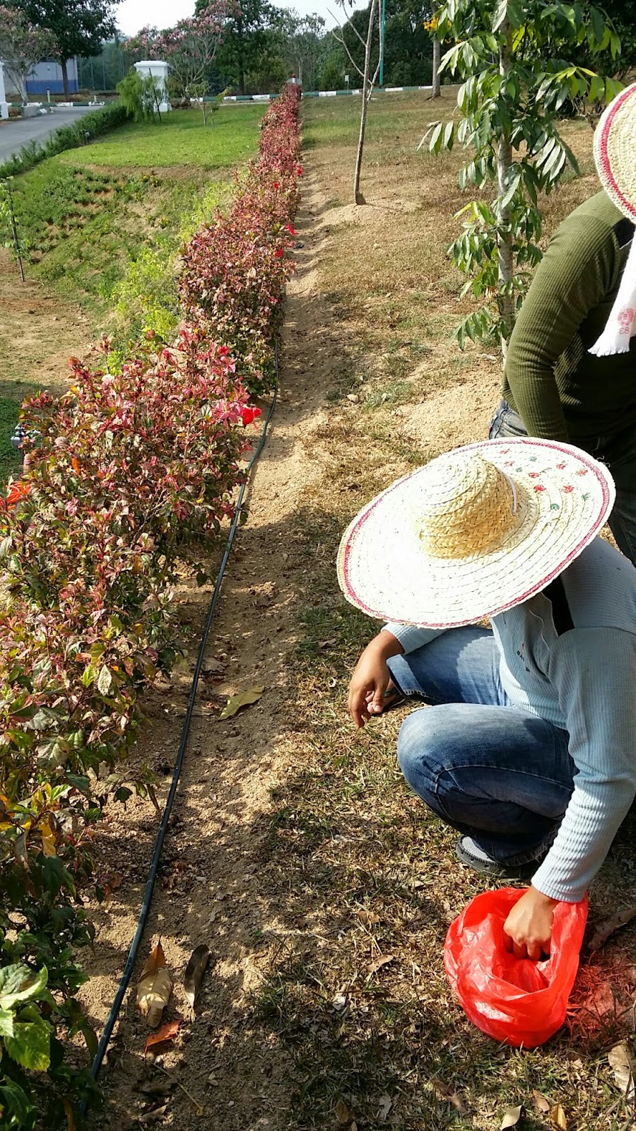 Malaysian Automatic Landscape Watering System