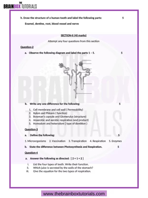 icse-class-7-biology-sample-paper