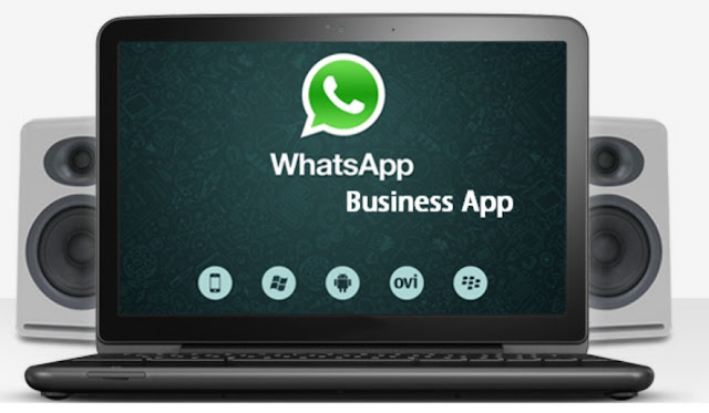 Whatsapp business download