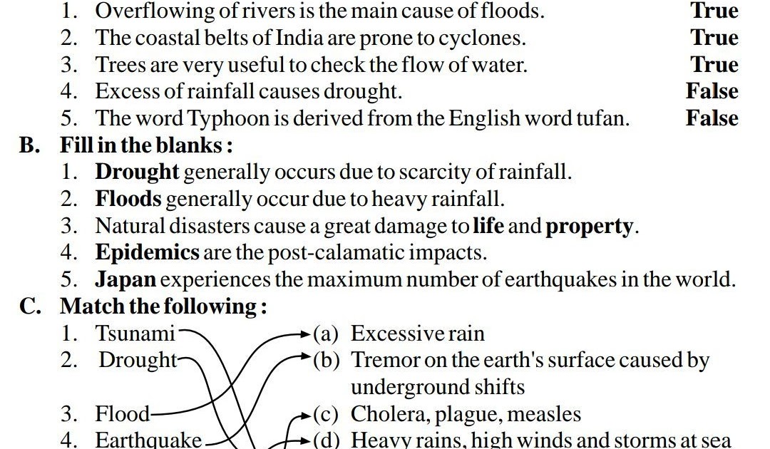 Class 5 Social Studies