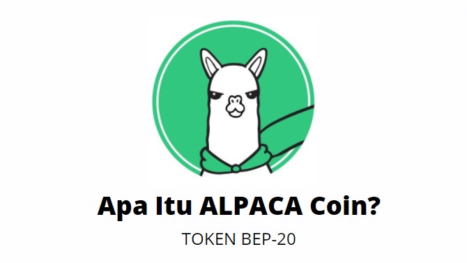 Mengenal Apa Itu Alpaca Finance Alpaca Platform Pinjaman Berbasis Blockchain Budak Duit Indonesia
