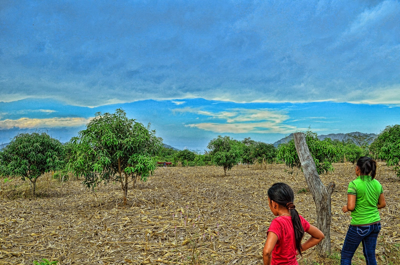 Secret Mango Farm in the Philippines randy Fotograpix