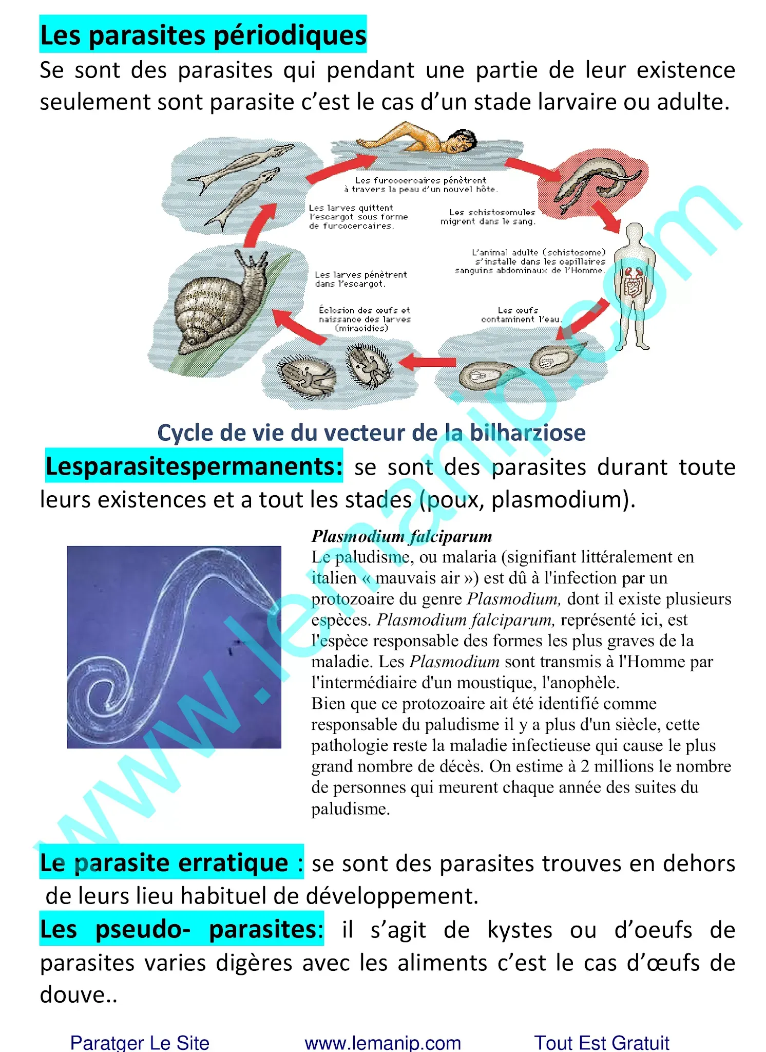 Les parasites périodiques