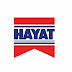 Internship in Hayat Kimya Pvt Ltd