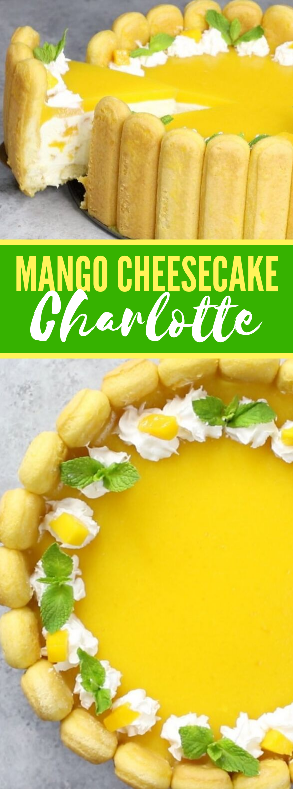 MANGO CHEESECAKE CHARLOTTE #desserts #cake