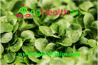 9 Evidence Based Health Tips to enhance living for the aged