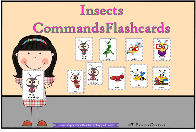 Insects unit Commands flashcards