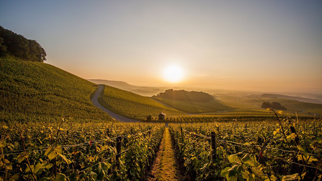 SCHWÄBISCHE TOSKANA: Durch die Weinberge an Neckar und Enz