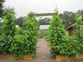 Ingång till köksträdgården