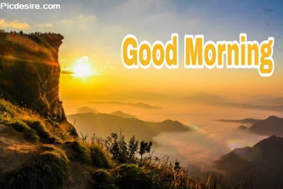 These Best 99+ Good Morning Images will make your day These Best 99+ Good Morning Images will make your day