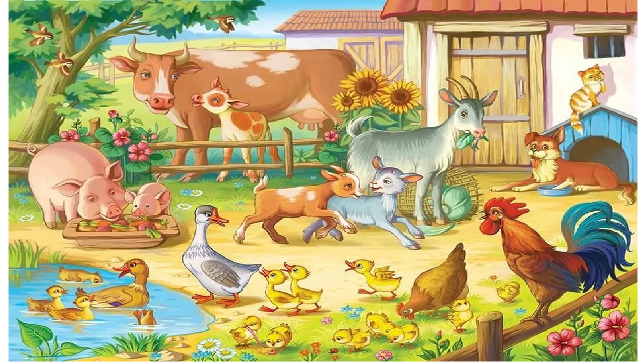 Тема домашние животные 3 класс. Домашние животные и птицы. Домашних животных для детей. Животные для дошкольников. Фон с домашними животными.