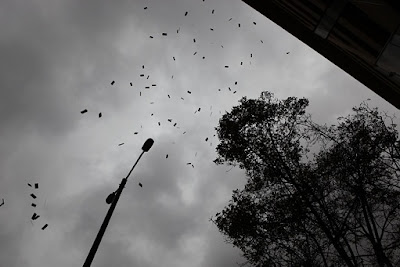 Bersoa informa.com: Con lluvia de billetes empezó invierno en Bogotá