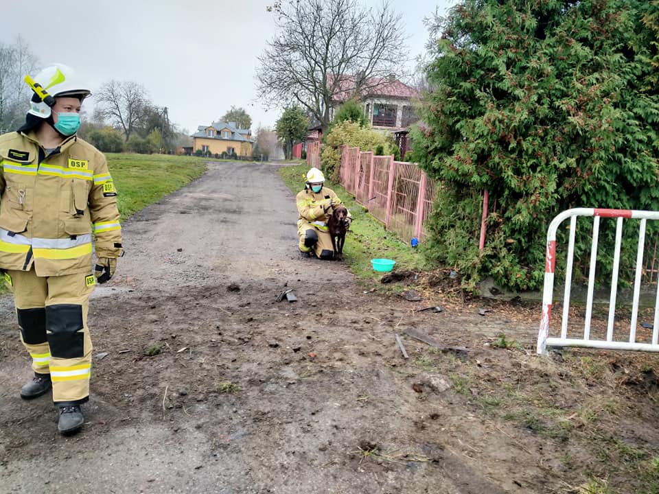 Wypadek na drodze Mielec-Kolbuszowa w Siedlance - zdjęcie nr 2. 