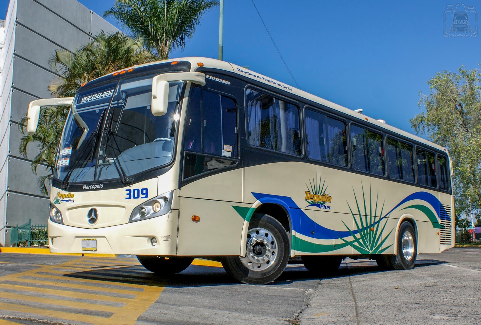 Omnibus de Tequila Tequila Plus BusMéxico