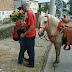 Viral: Jovem surpreende namorada com flores e cavalo branco