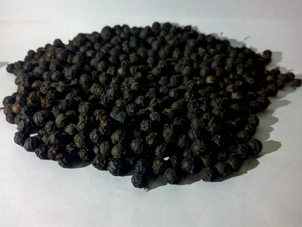 Black Pepper Farming in India काली मिर्च की खेती भारत में