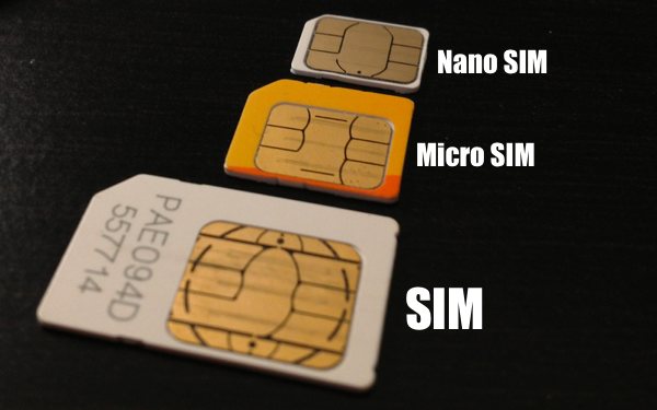 nano-micro-sim.jpg