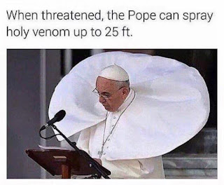 pope vestments blown by wind funny