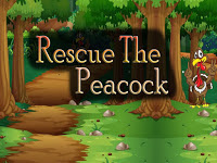  Top10NewGames - Top10 Rescue The Peacock