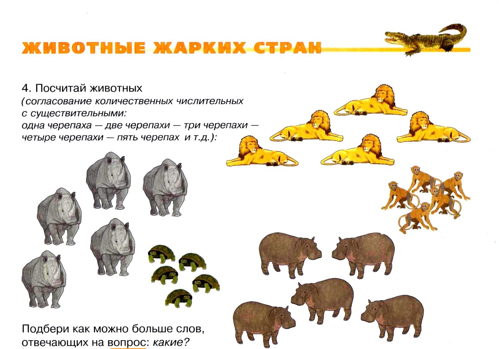 Тема недели животные жарких стран
