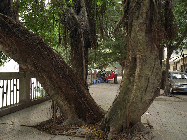 man getting a haircut outside on a riverside sidewalk in Jiangmen, China