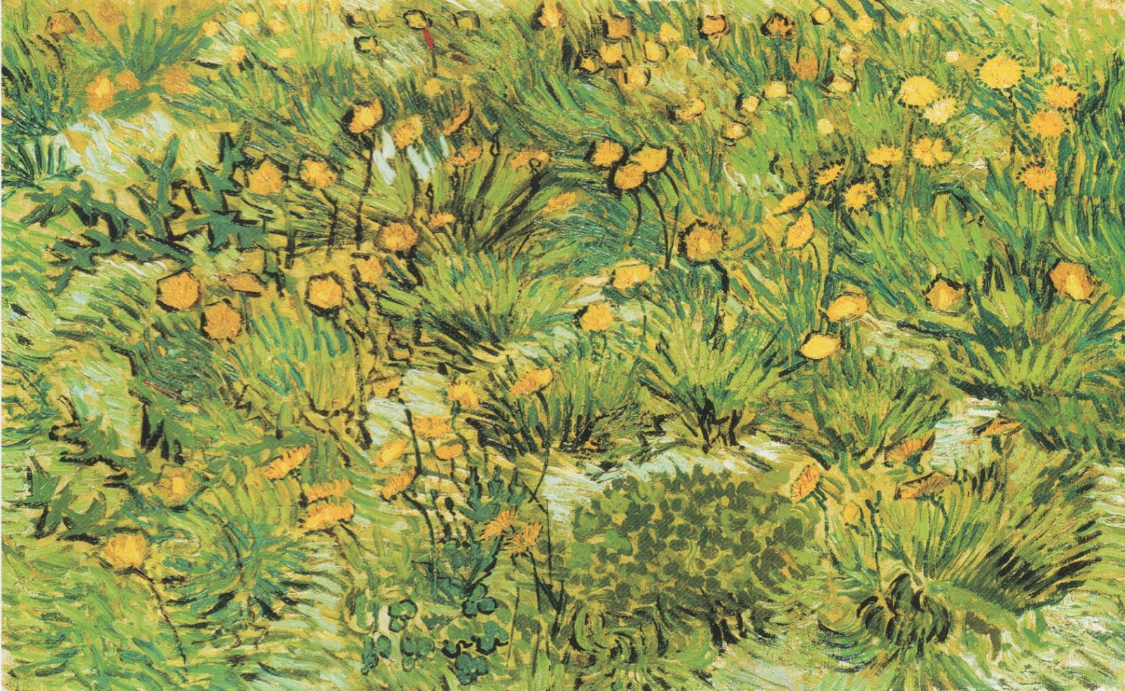 randuwa Van Gogh The Philadelphia Museum of Art