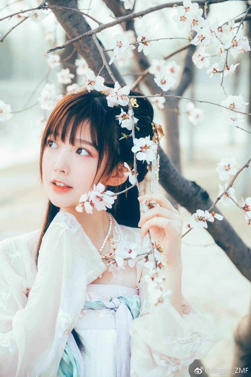 Chinese beautiful model - Cosplay The Cherry Blossom Fairy with Historical Costume