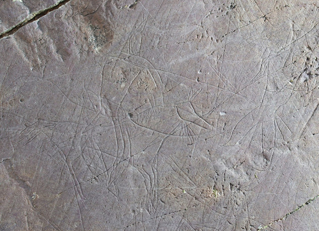 Rare petroglyphs dating from the Early Middle Ages discovered in Altai