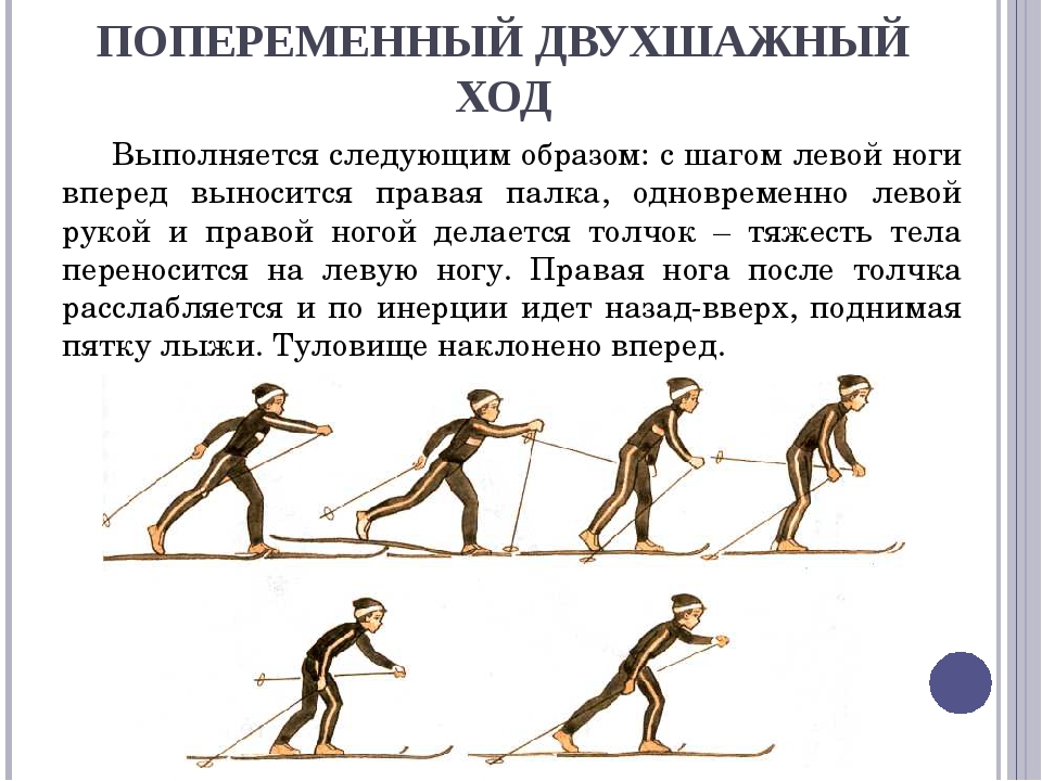 Какой ход передвижения на лыжах появился раньше. Попеременный двухшажный ход техника хода. Попеременный двухшажный ход на лыжах техника. Основная фаза попеременного двухшажного лыжного хода:. Техника выполнения попеременного двухшажного лыжного хода.