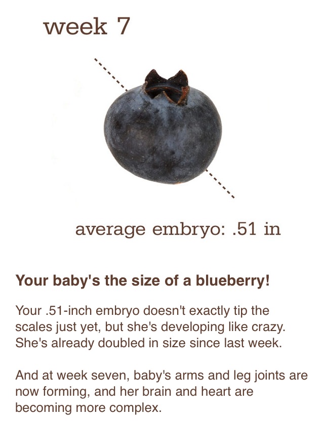 Беременность фрукты размер. 7 Недель беременности фрукт. 7 Недель беременности размер плода фрукт. 7 Неделя беременности какой фрукт. 5 Недель беременности размер фрукт.