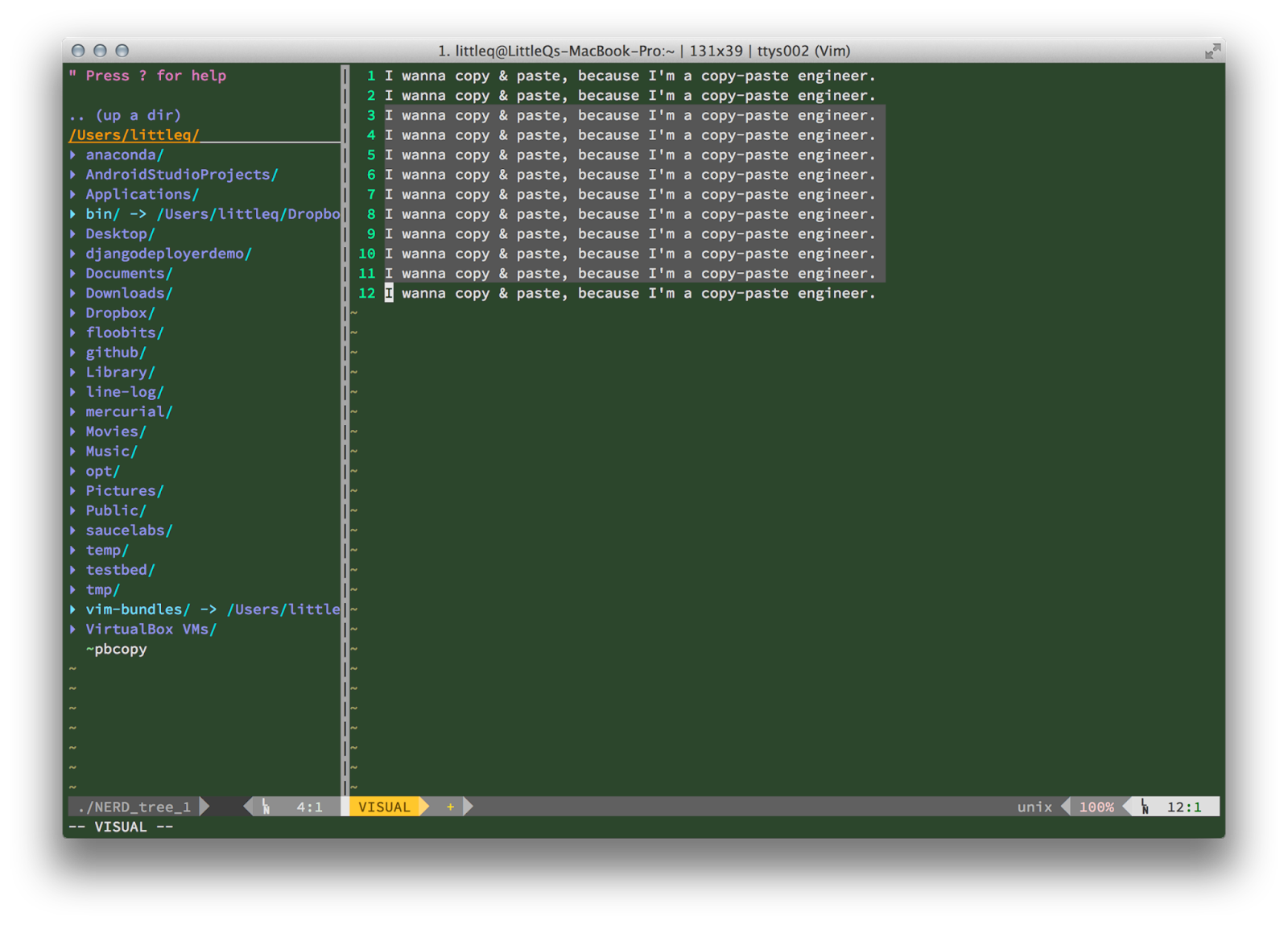 Mr.Q 程式手札 讓 Vim 跟與你的系統剪貼簿 (clipboard) 共舞