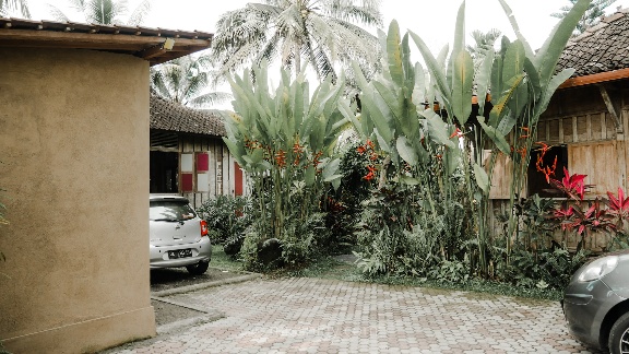 rekomendasi hotel murah dan bagus di ubud bali rekomendasi hotel murah dan bagus di ubud bali