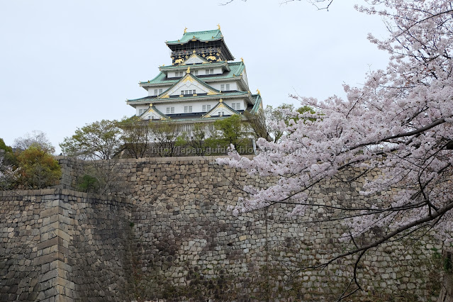 ซากุระ Osaka Castle