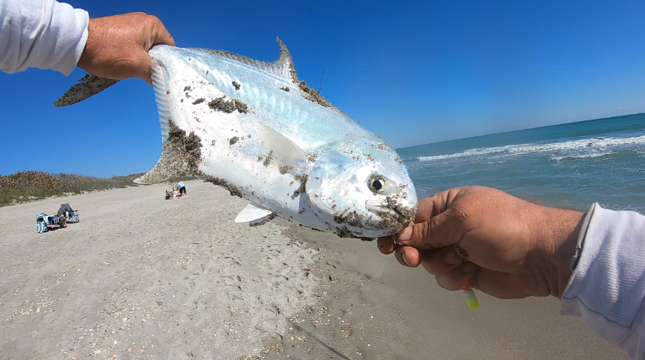 Florida East Coast Surf Fishing Blog Fishing Report Florida's East
