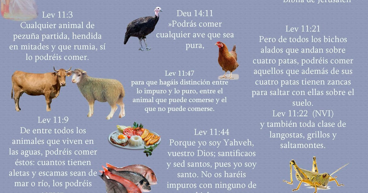 ARTICULOS RELIGIOSOS. ANIMALES PUROS E IMPUROS EN LA BIBLIA. CONTRADICCIÓN GÉNESISLEVÍTICO ARTICULOS RELIGIOSOS. ANIMALES PUROS E IMPUROS EN LA BIBLIA. CONTRADICCIÓN GÉNESISLEVÍTICO