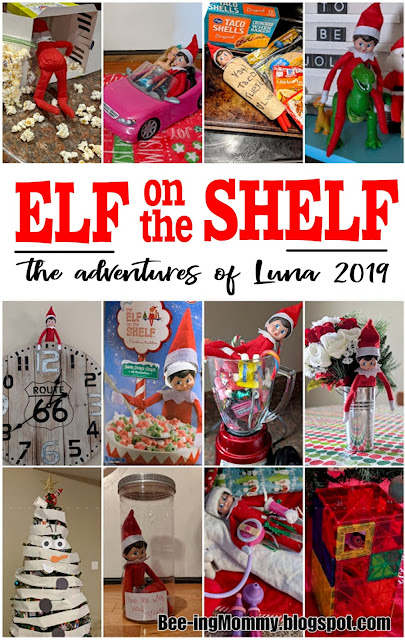Elf on the Shelf - The Adventures of Luna 2019