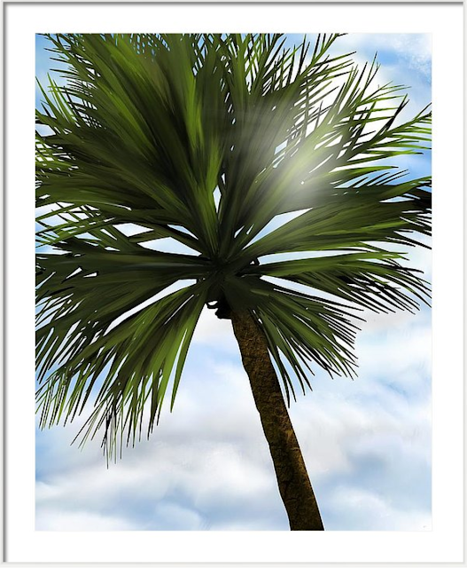 framed art, palm tree art, wall art, fine art america, Mark taylor, Beechhouse Media,