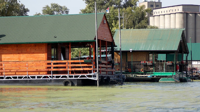 Groen water met woonboten