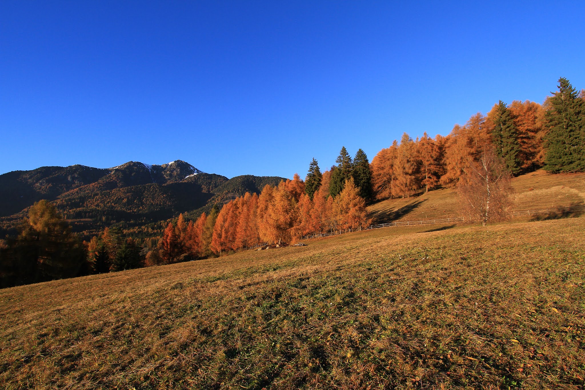 Dove ammirare il foliage in Val di Fiemme Trentino Montagna di Viaggi Dove ammirare il foliage in Val di Fiemme Trentino Montagna di Viaggi
