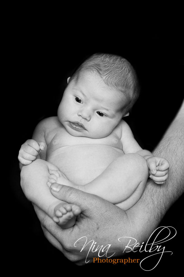 Babies Galore-Newborn Baby Portraits on Black Background