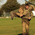 Tacfit Commando proves if a fitness product can benefit you