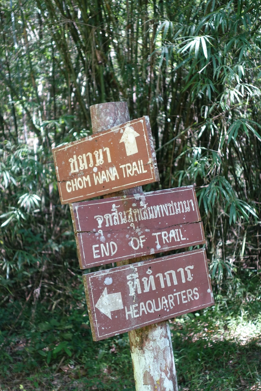 Like the blue wind 203일차 국립공원 트레킹 [KHUN CHAE National park]