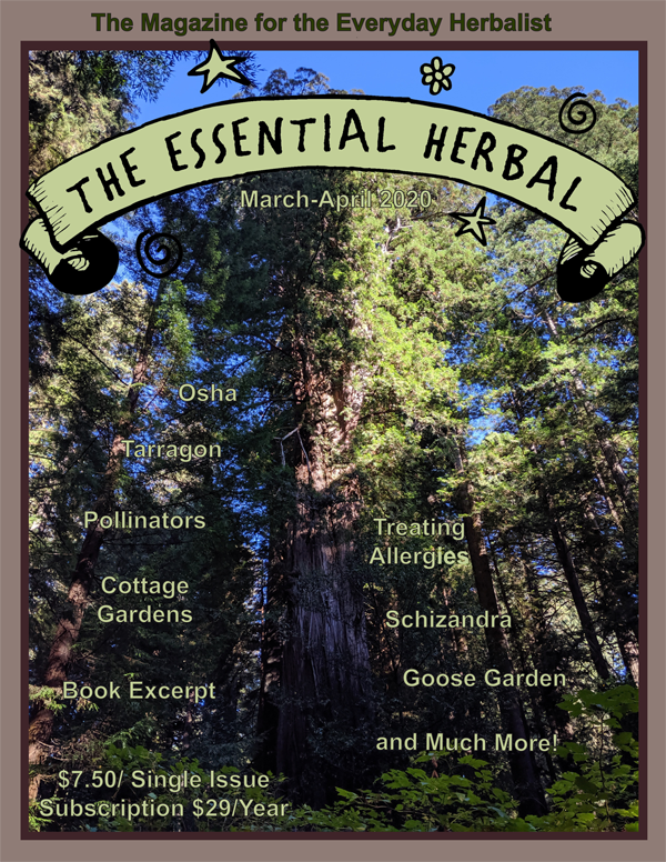 The Essential Herbal Blog The Essential Herbal March/April 2020 Issue