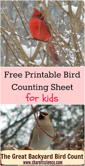 Share It Science Free Bird Counting Printable Great Backyard Bird Count share-it-science-free-bird-counting-printable-great-backyard-bird-count