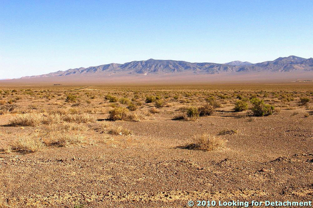 Looking For Detachment Finding a Thesis Arriving at Blind Spring Hill